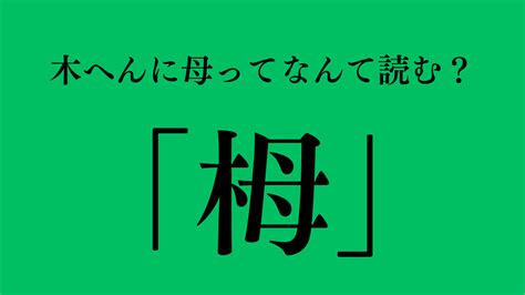 木象|橡（木へんに象）とは？橡（木へんに象）の読み方や意味、成り。